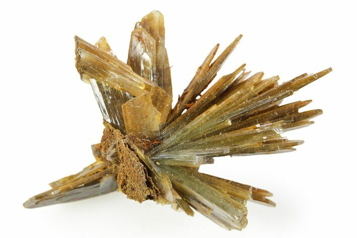 Sharp Bladed Blue Barite Cluster with Limonite - Morocco #365638